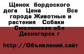 Щенок  бордоского  дога. › Цена ­ 60 000 - Все города Животные и растения » Собаки   . Смоленская обл.,Десногорск г.